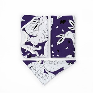 SHORT-SLEEVE SET WITH RABBIT BLANKET AND APRICOT