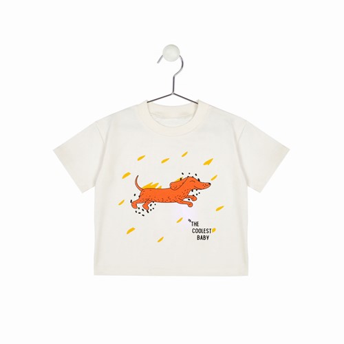 DOGI T-SHIRT için detayları göster